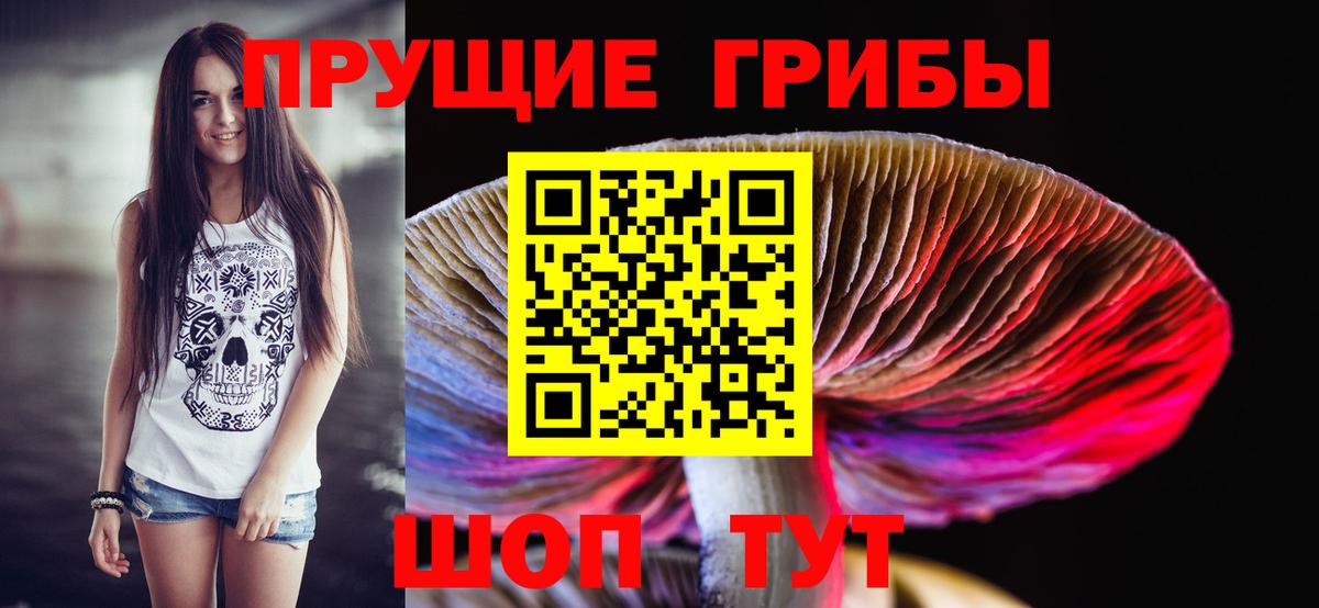 Галлюциногенные грибы MAGIC MUSHROOMS  Вход с VPN  Галлюциногенные грибы Cubensis  Дедовск 